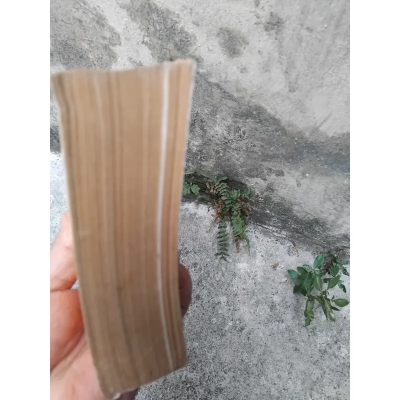 Từ tòa Bạch Ốc đến dinh Độc Lập của Nguyễn Tiến Hưng  1030432