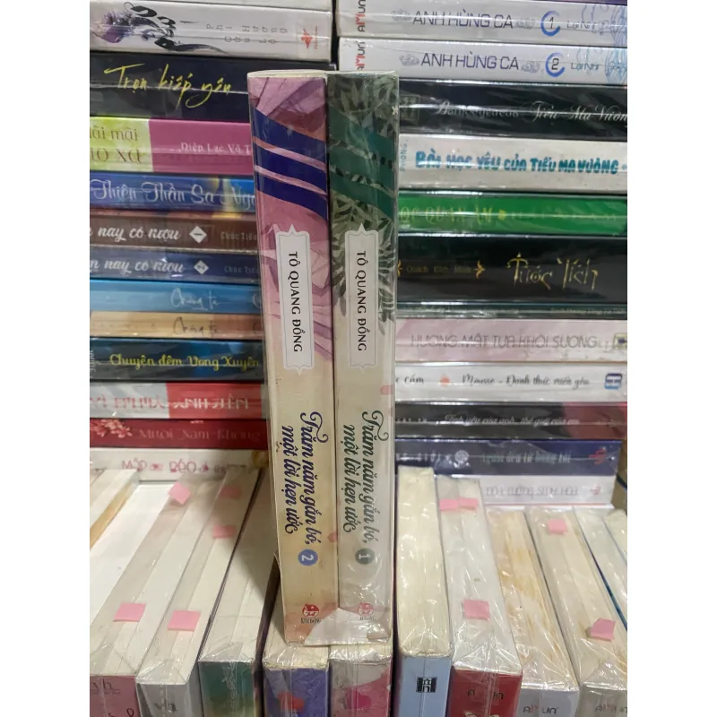 Trăm năm gắn bó, một lời hẹn ướ  1006797