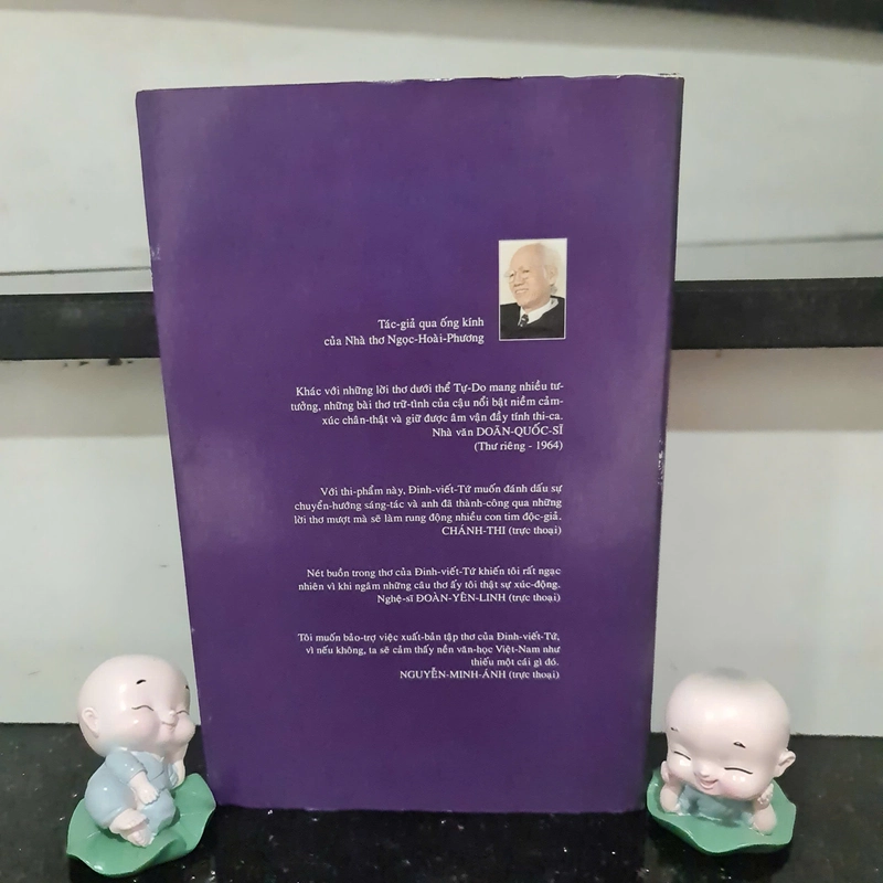 Nổi Sầu Mình Anh - Đinh Viết Tứ 470091