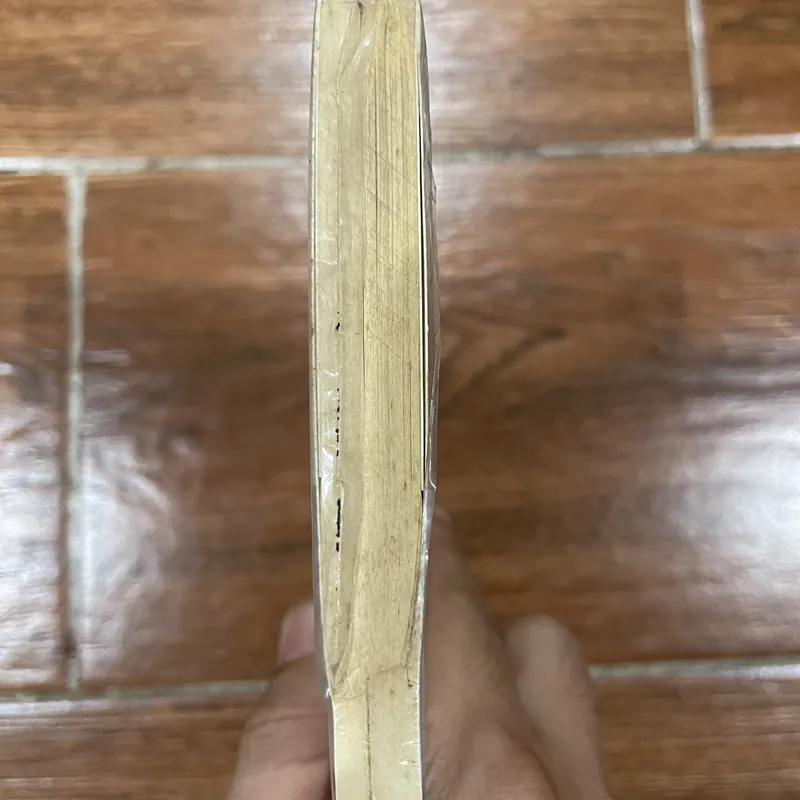 Và khi tro bụi - Đoàn Minh Phụng (15) 570547