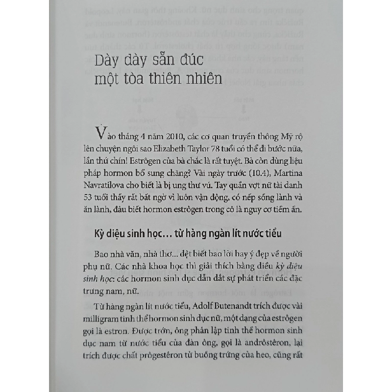 Sâu thẳm sự sống - Nguyễn Chấn Hùng 536191