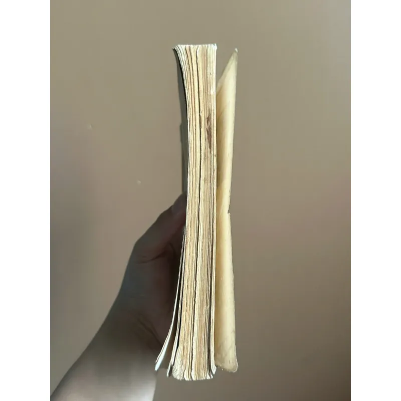 Số Phận Lịch Sử Của Chủ Nghĩa Hiện Thực - Bôrix Xuskov 731620