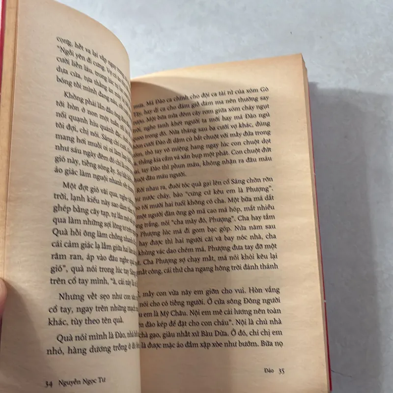 Đảo - Nguyễn Ngọc Tư 735949