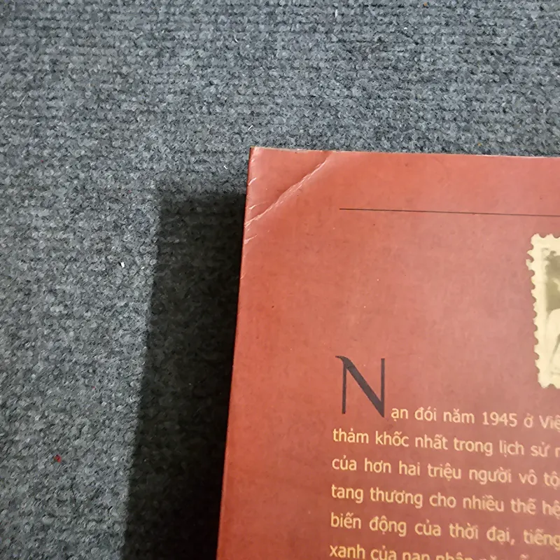Nạn đói năm 1945 ở Việt Nam 1041763