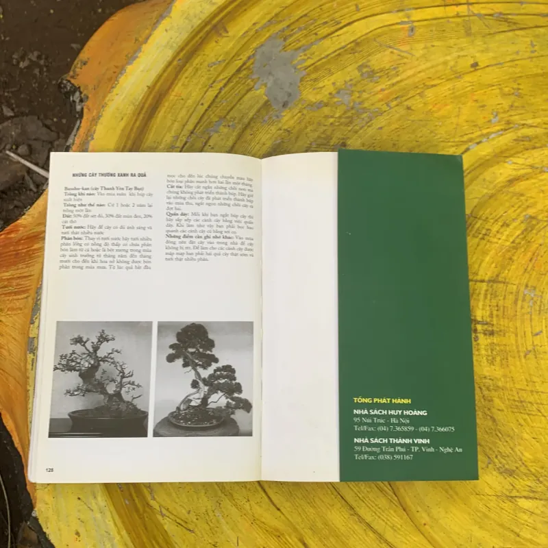  BONSAI KỸ THUẬT CHĂM SÓC CÂY CẢNH  759675