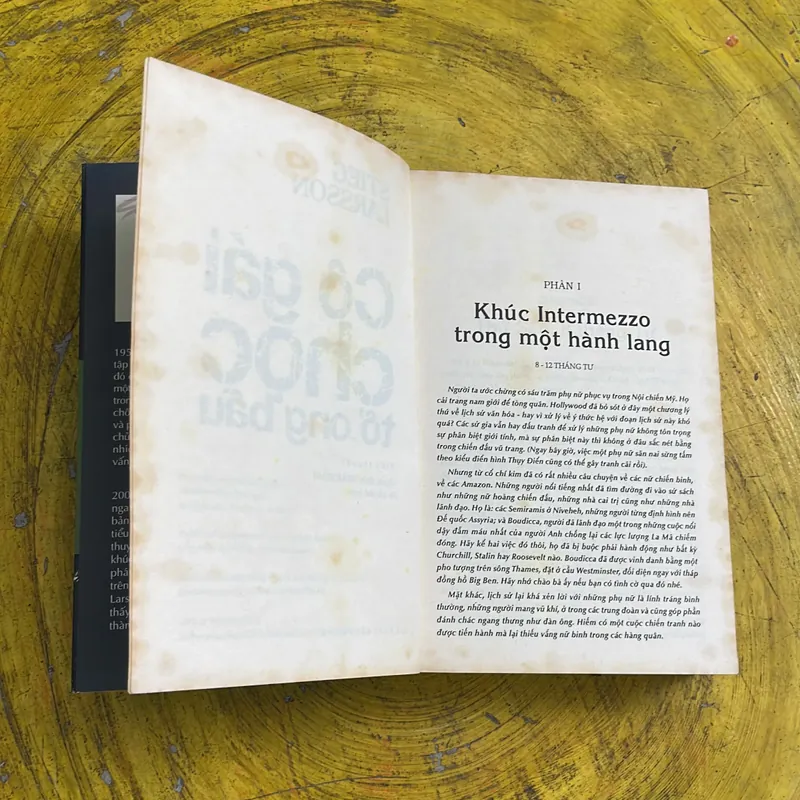 CÔ GÁI CHỌC TỔ ONG BẦU - STIEG LARSSON 736249