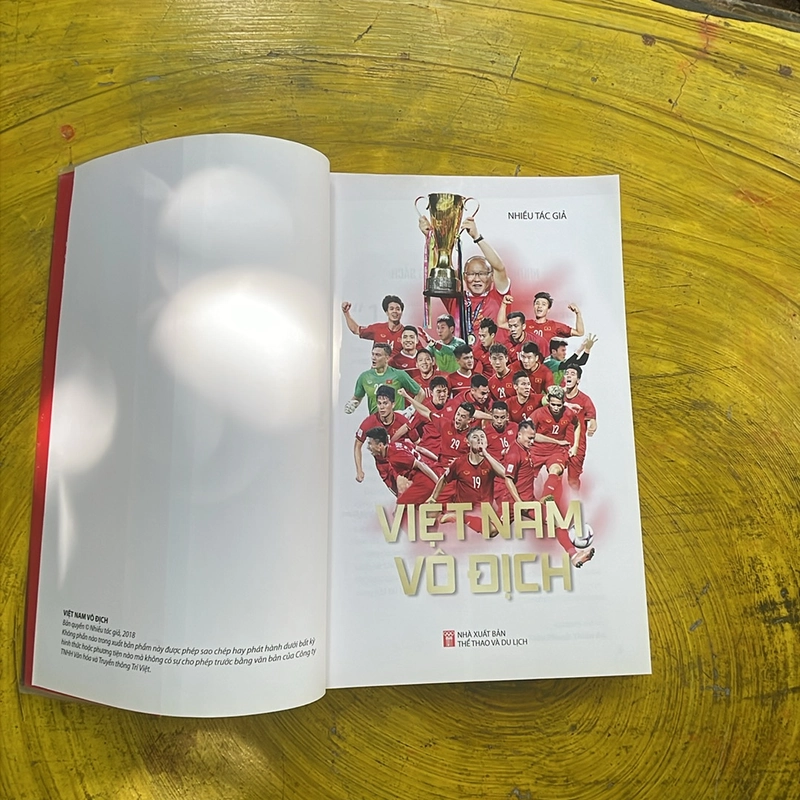 Việt Nam vô địch 463693