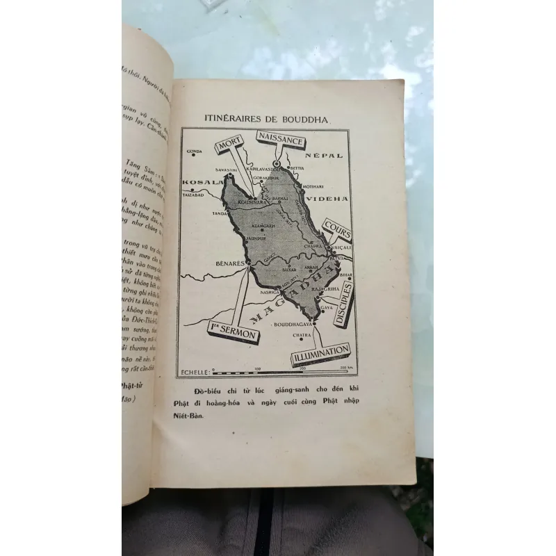 PHẬT TỔ THÍCH CA - VIÊN TÀI 785002