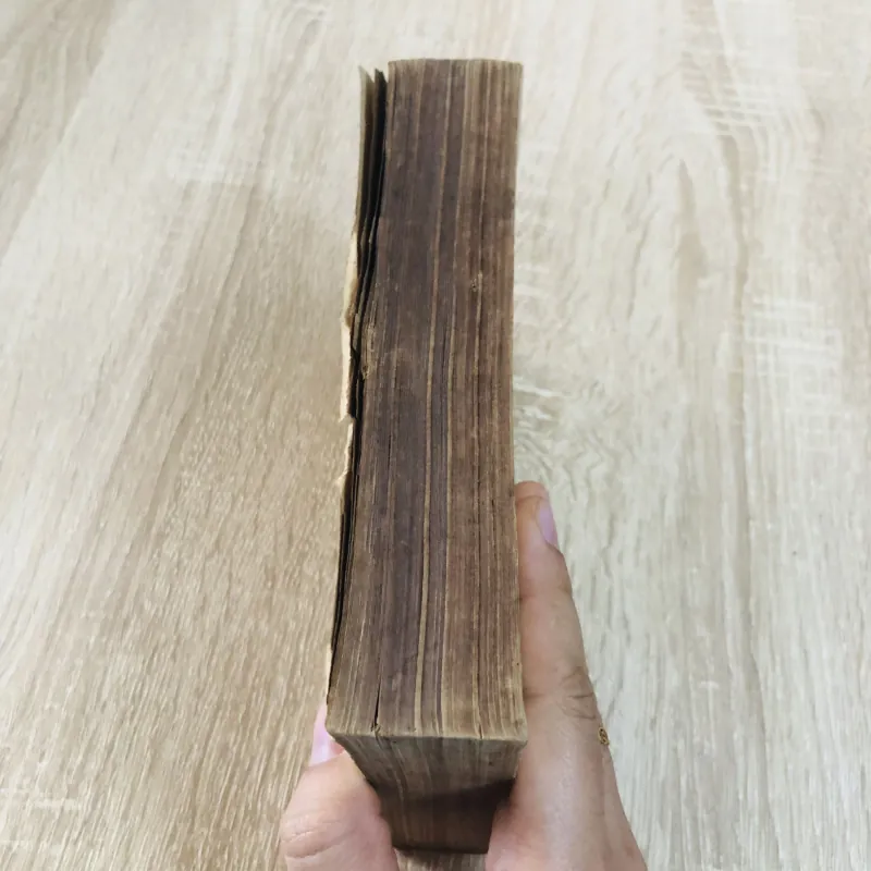 XIXe Siècle – Les Grands Auteurs Français 971756