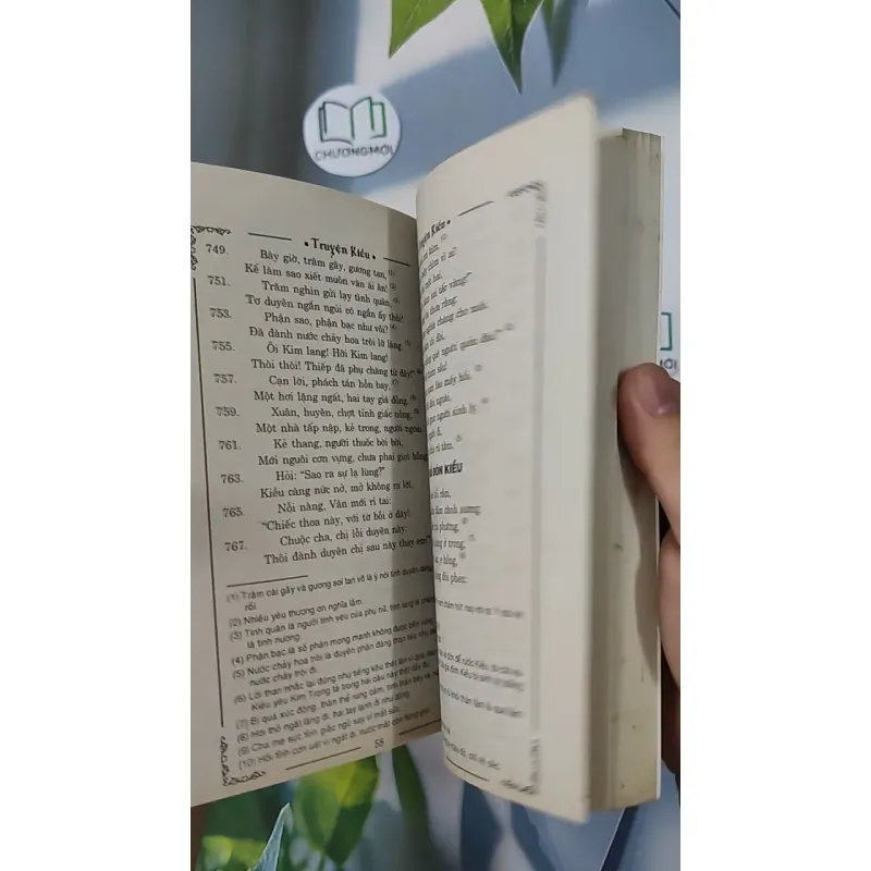 Truyện Kiều - Vũ Hữu Tiềm bình giải, chú thích và minh hoạ - Nguyễn Du 798331