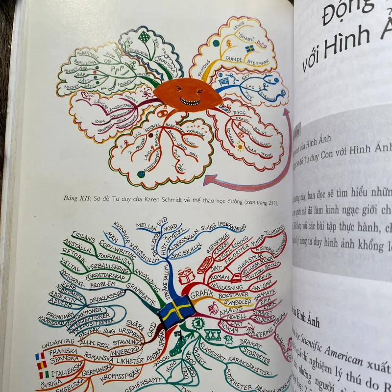 Sơ đồ tư duy- Tony Buzan  603182