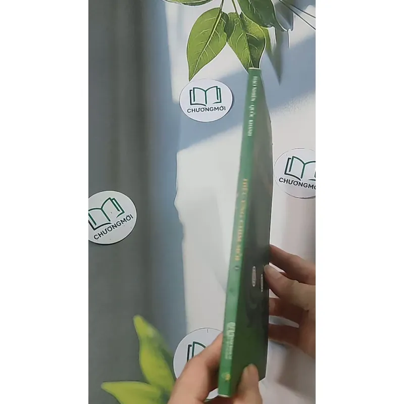 Hiệu ứng chim mồi 1 - Hạo Nhiên 688510