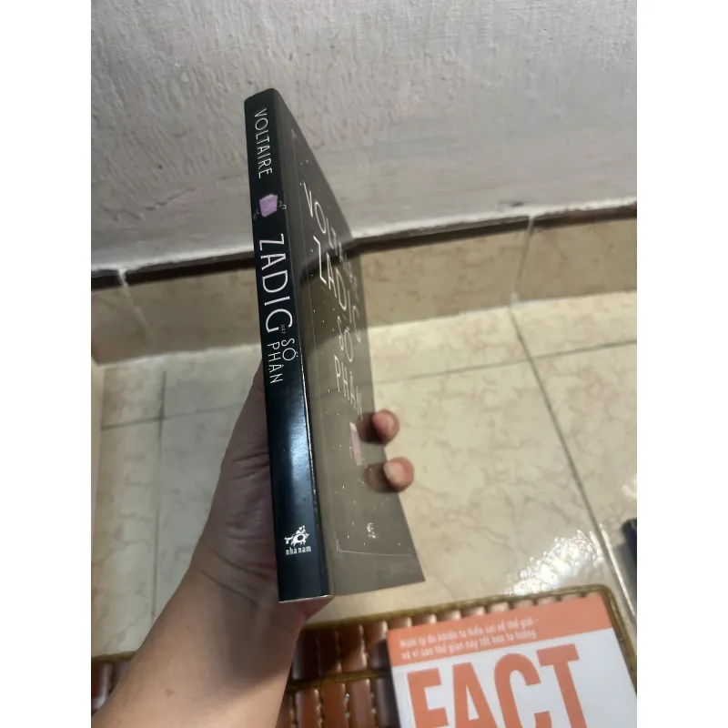 Zadig hay số phận  974589