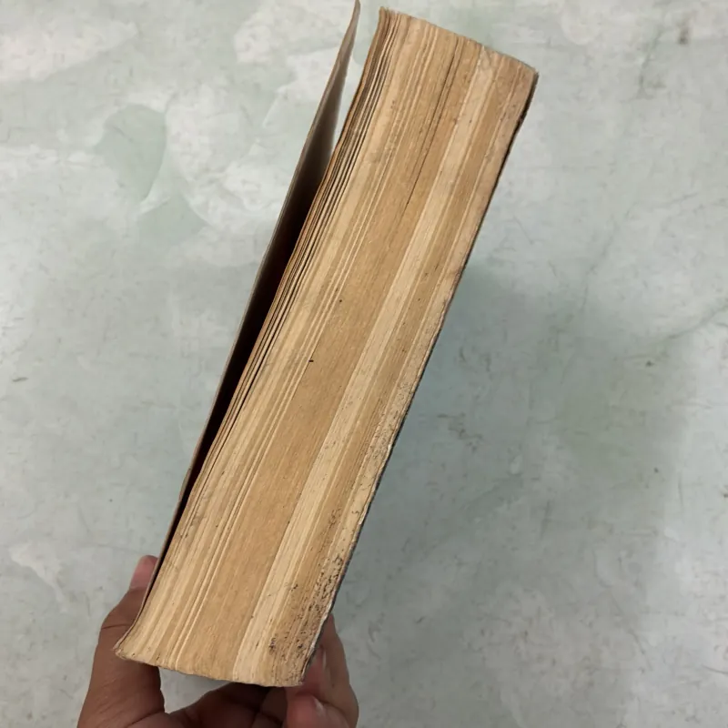 556 bài luận tiếng anh 1000233