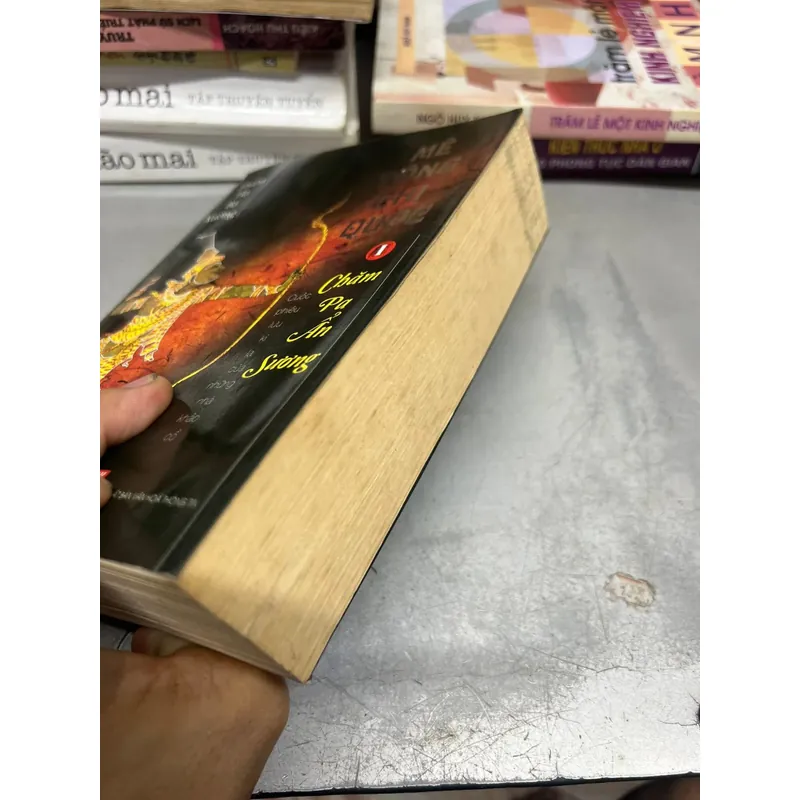 Chămpa Ẩn sương 607523