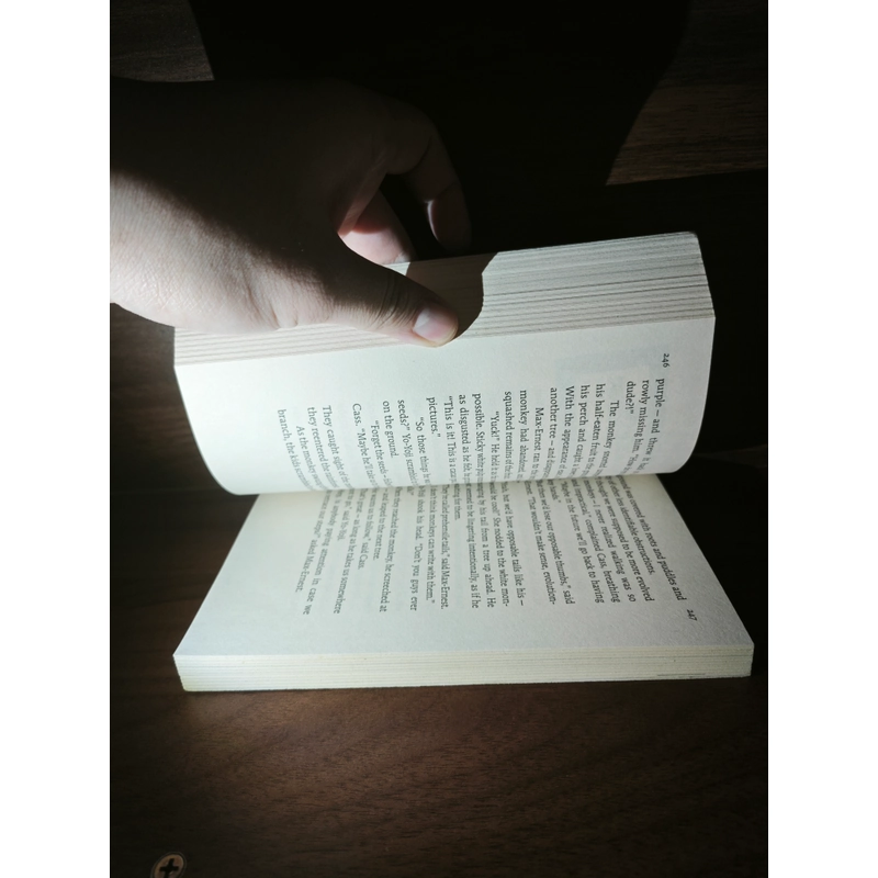 Ngoại văn This Book Is Not Good for You (The Secret Series, #3) - Pseudonymous Bosch 548287