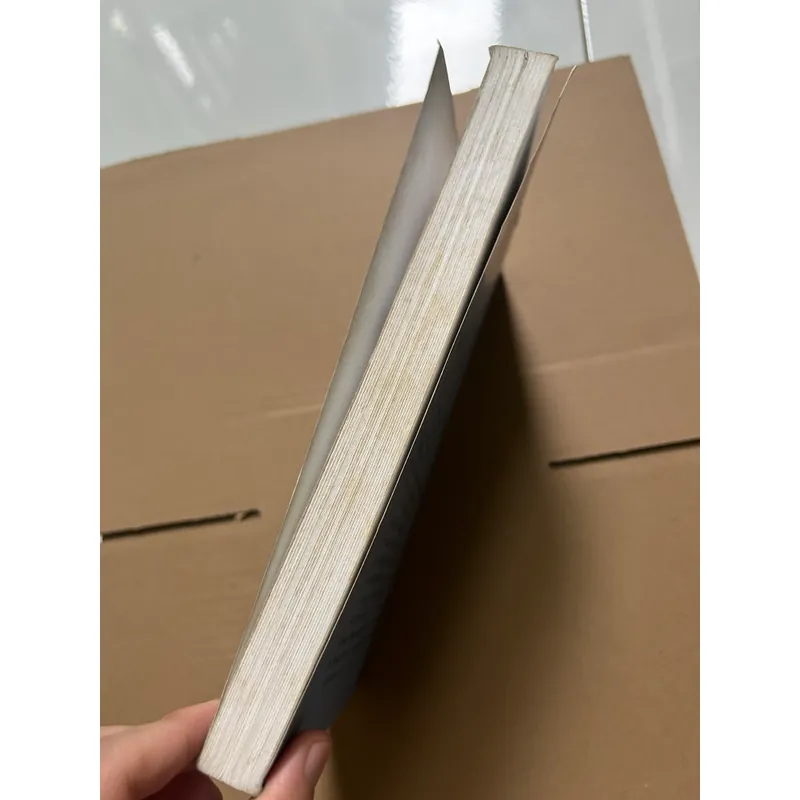 Giáo trình xã hội học về giới 622471