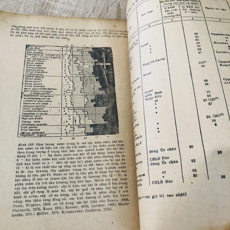 SINH THÁI HỌC THỰC VẬT 956979