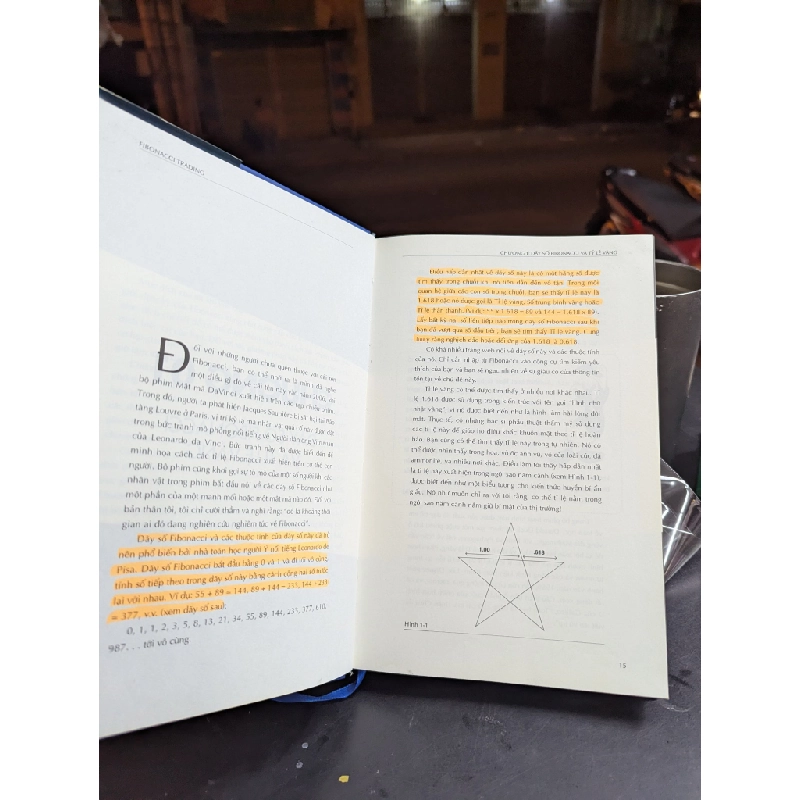 FIBONACCI TRADING - CAROLYN BORODEN 142468