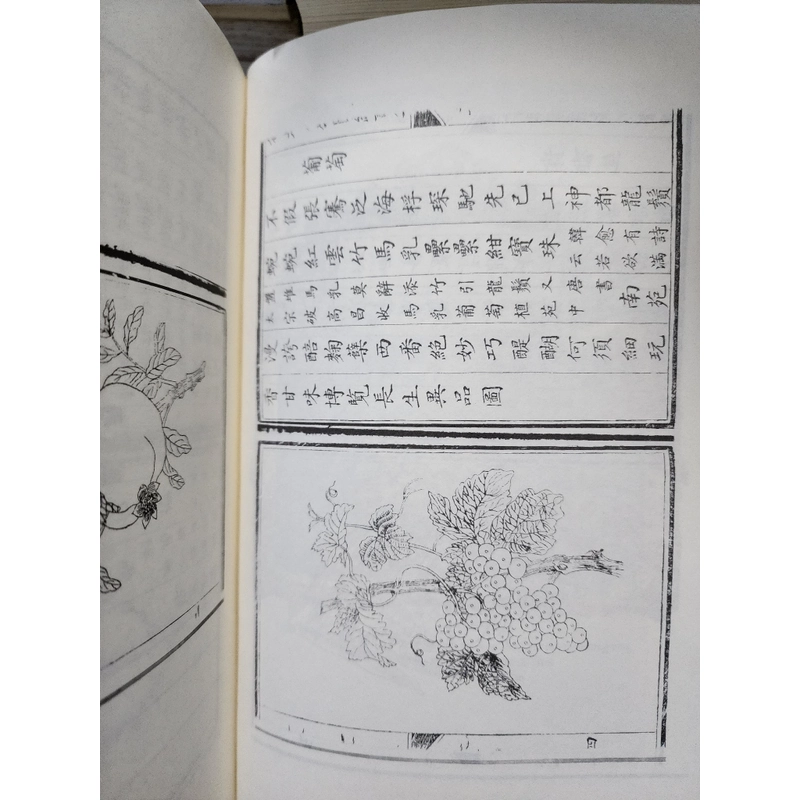 Kinh thành Huế ttong thi họa. Hoàng đế Thiệu Trị và Ngự đề đồ hội thi tập.  493377