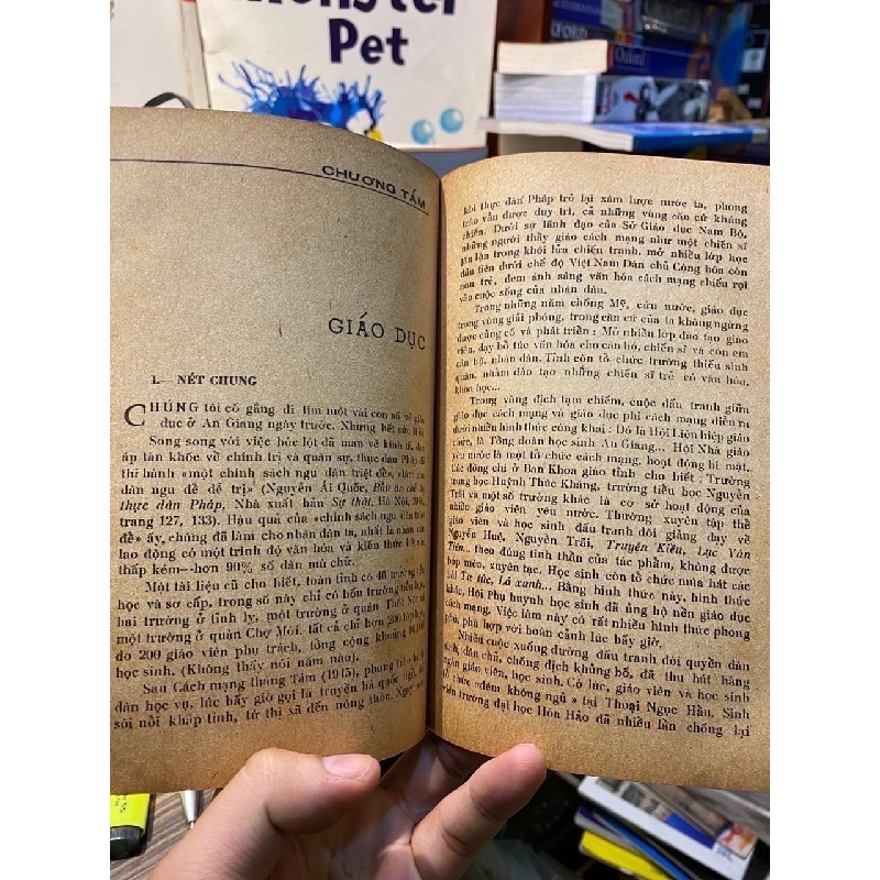 Những trang về An Giang - Trần Thanh Phương 756069