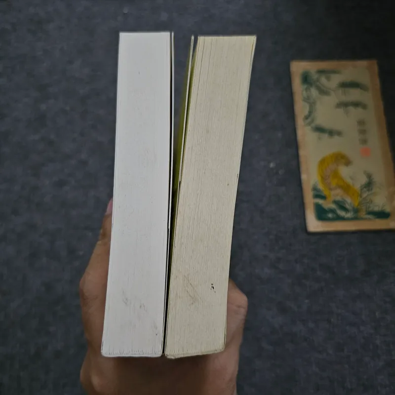 Người đua diều, Ngàn mặt trời rực rỡ 733908