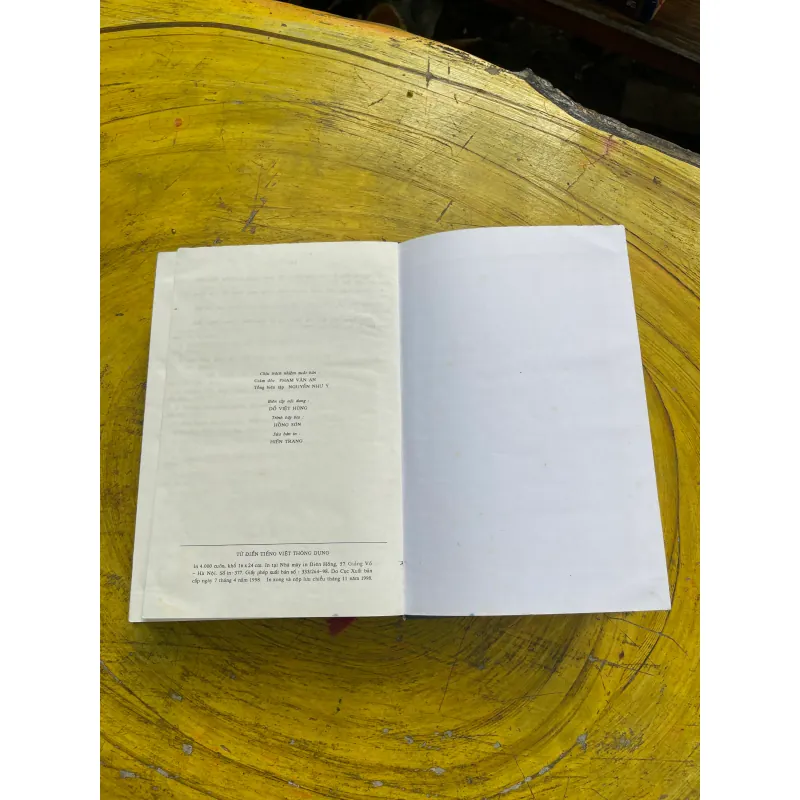 TỪ ĐIỂN TIẾNG VIỆT THÔNG DỤNG- NGUYỄN NHƯ Ý CHỦ BIÊN(2) 730990