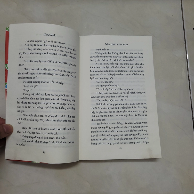 Tiểu thuyết Chúa Ruồi 453340