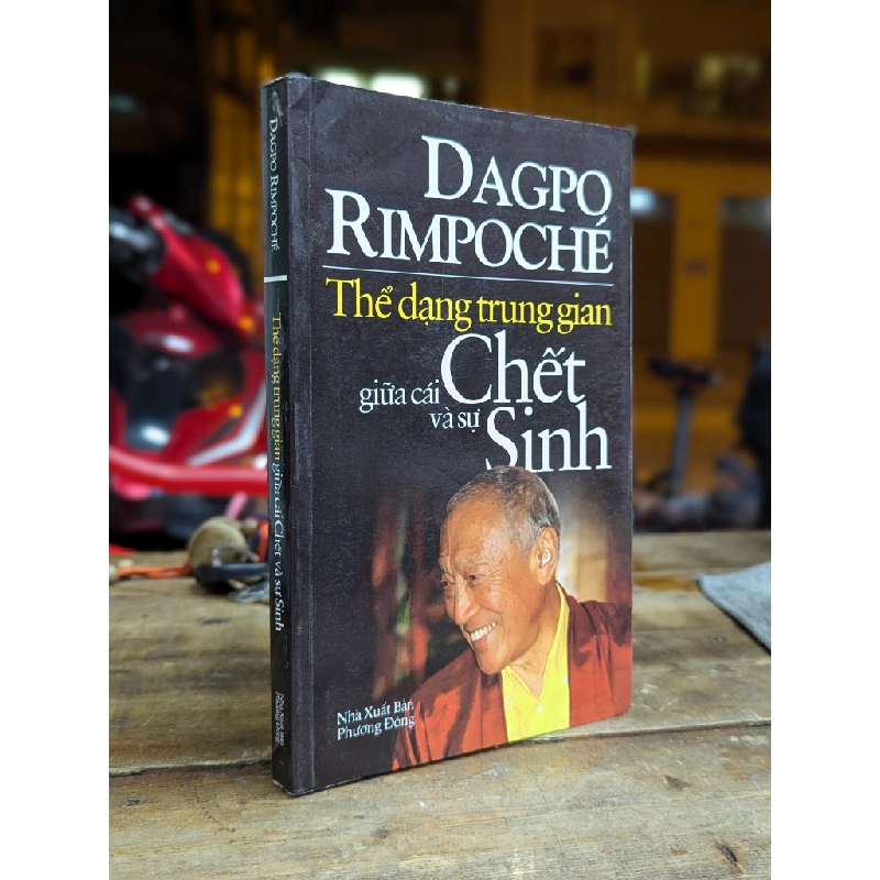 Thể dạng trung gian giữa cái chết và sự sinh - Dagpo Rimpoche 189556