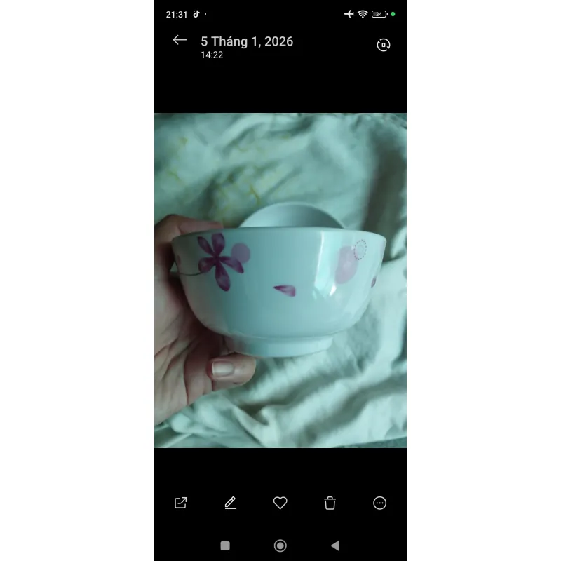 Bộ 9 chén Melamine Vĩnh Cơ 756755