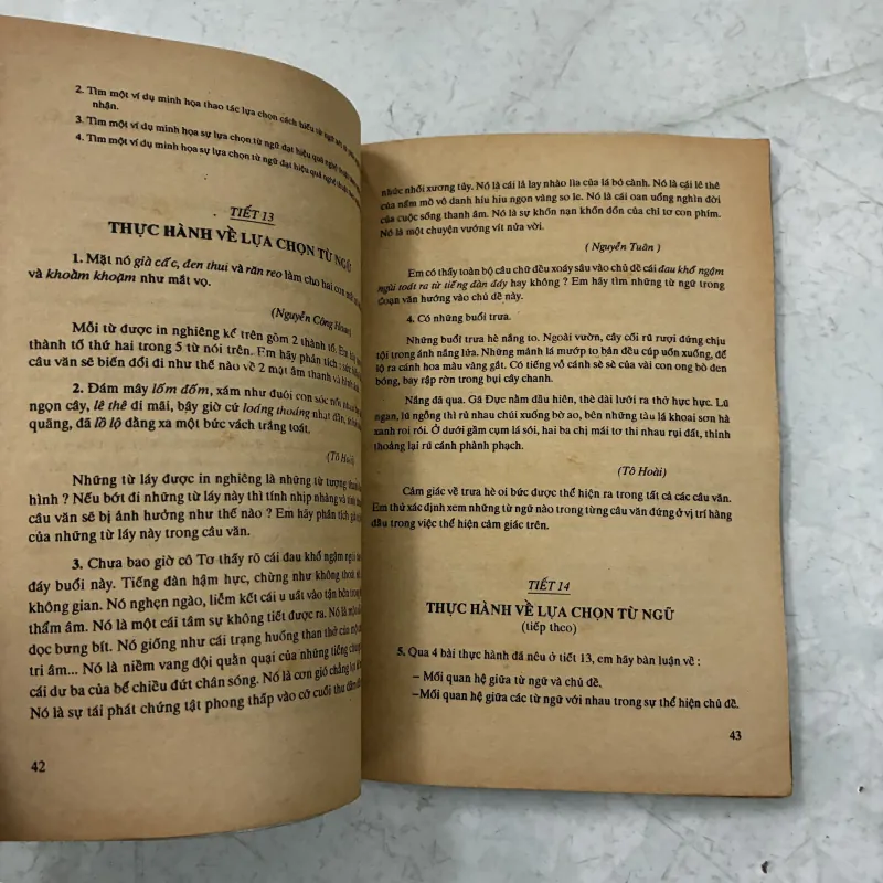 Tiếng việt 10 - 1991s 1005541