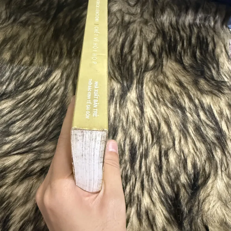 Chết vì hội họp  599658