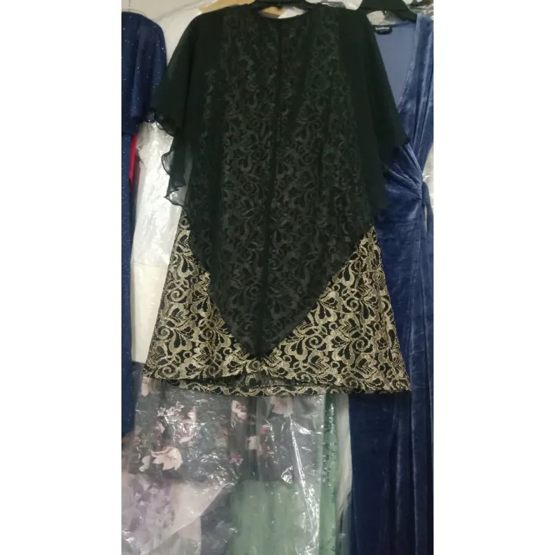 Đầm gấm dự tiệc bigise, size 12 bị lỗi 578051
