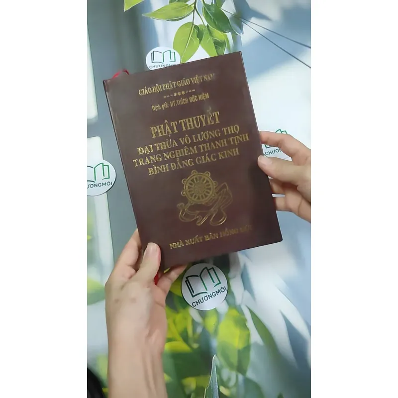 Đại Thừa Vô Lượng Thọ Trang Nghiêm Thanh Tịnh Bình Đẳng Giác Kinh - HT. Thích Đức Niệm 750812