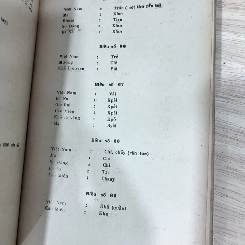 Nguồn gốc Mã Lai của dân tộc Việt Nam - Bình Nguyên Lộc 749116