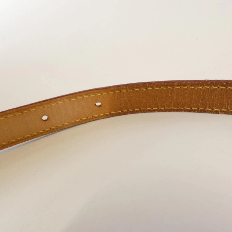 Túi xách vai Louis Vuitton Monogram Musette Salsa M51258 611850