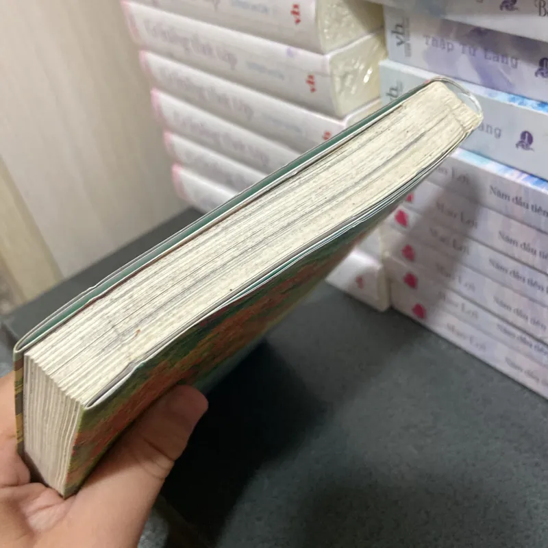 (Truyện tranh) - Mùa hè bất tận - Lâm Hoàng Trúc 1025759