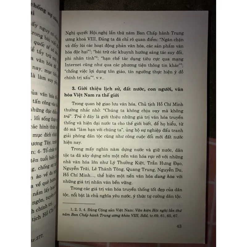 Văn hoá Việt Nam trong bối cảnh hội nhập kinh tế quốc tế  712148