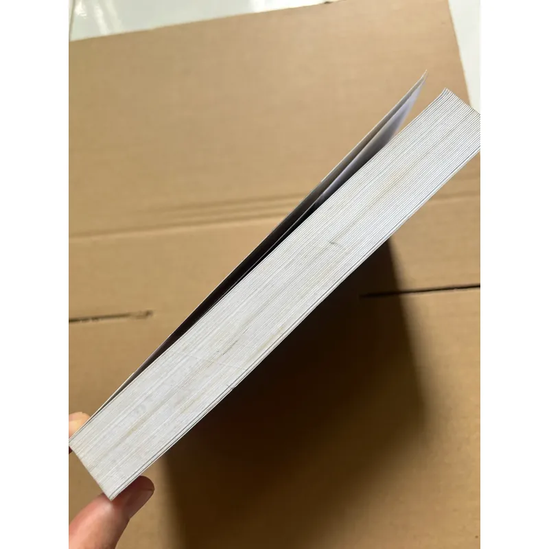 Bush và quyền lực nước mỹ 997063