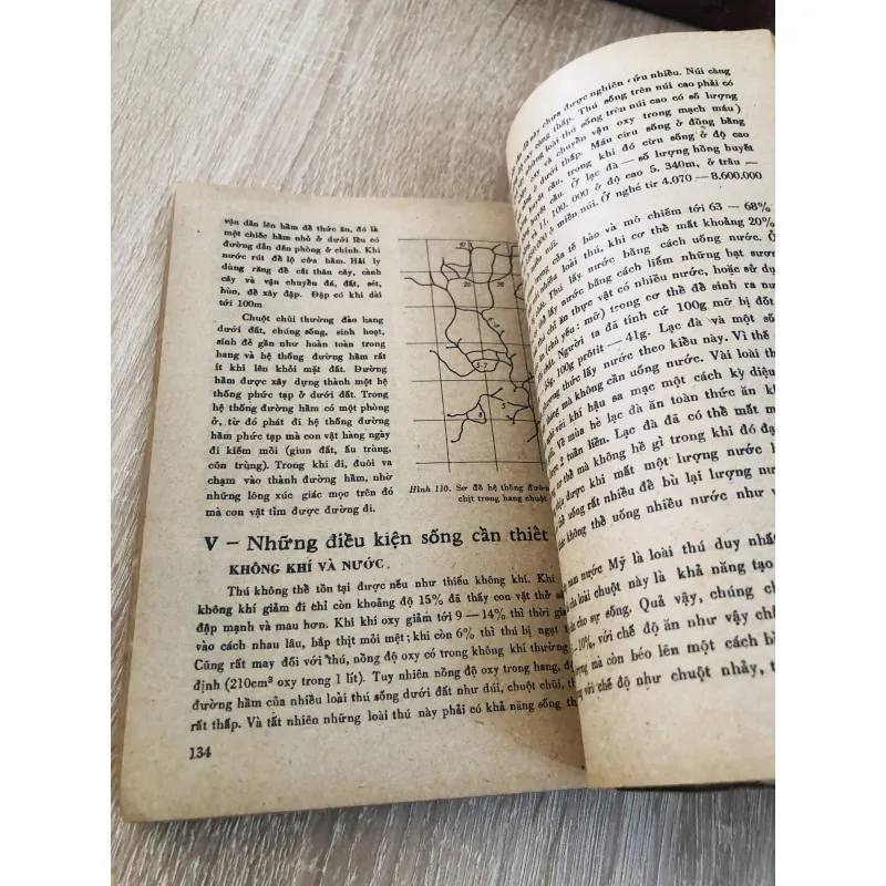 Đời sống các loài thú 1979 929091