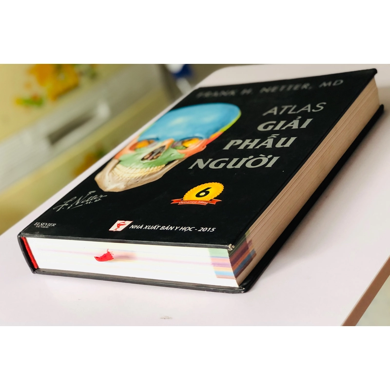 ALAS GIẢI PHẪU NGƯỜI 6 455852