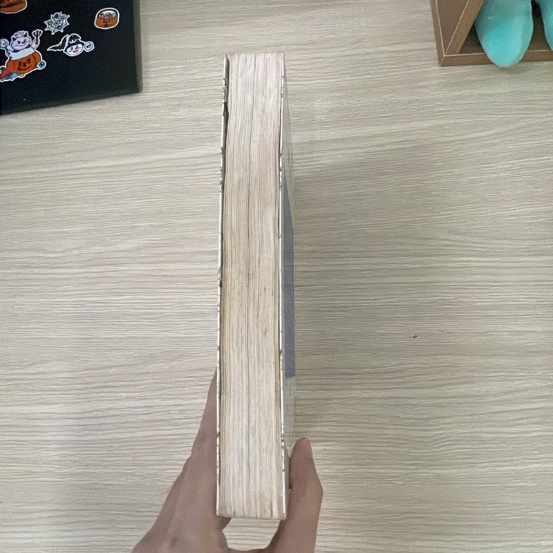 Combo 2 truyện Nhóc Nicolas Những chuyện chưa kể và Những kỳ nghỉ của nhóc Nicolas 178614