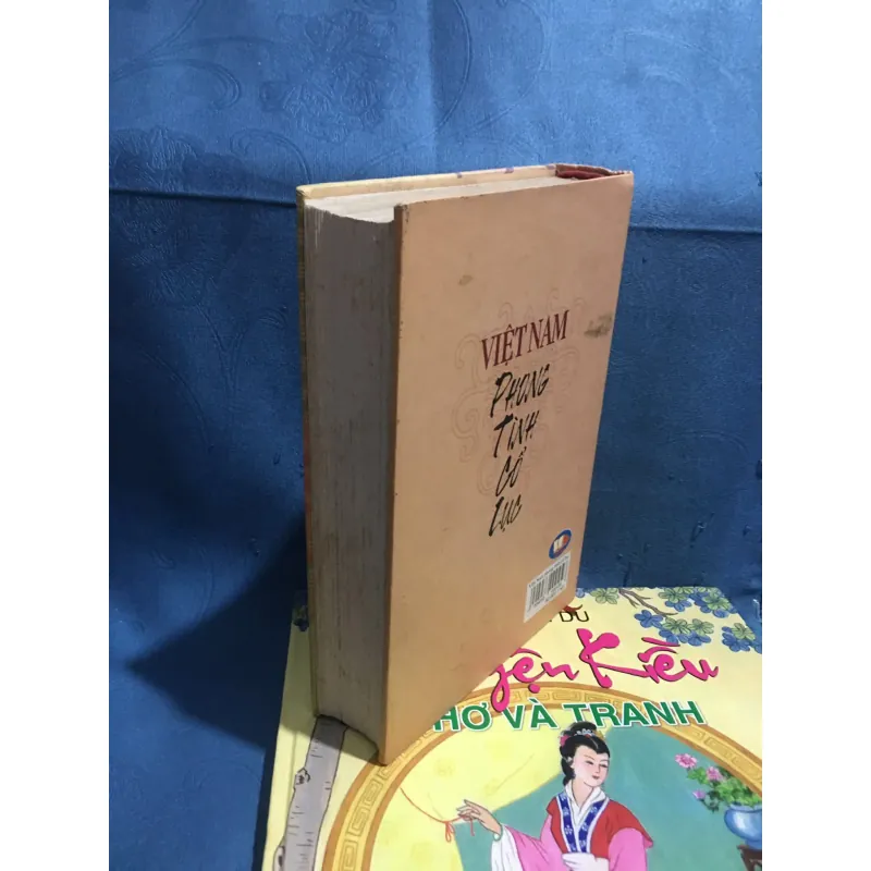 Việt Nam phong tình cổ lục 960724