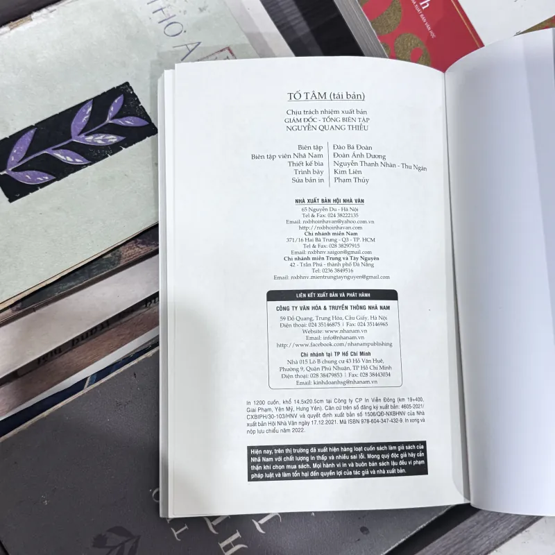 Tố Tâm - Hoàng Ngọc Phách 763803