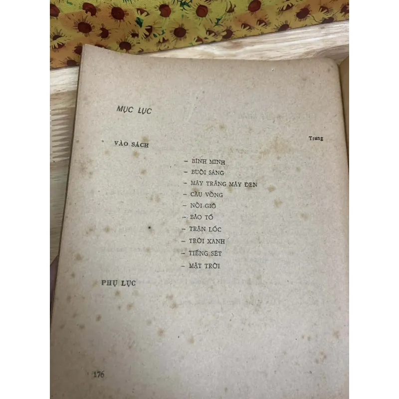 Vincent van Gogh - Lê Thanh Đức 974704