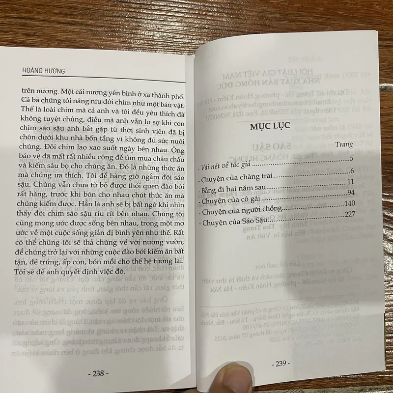 Sáo Sậu - Hoàng Hương 570214