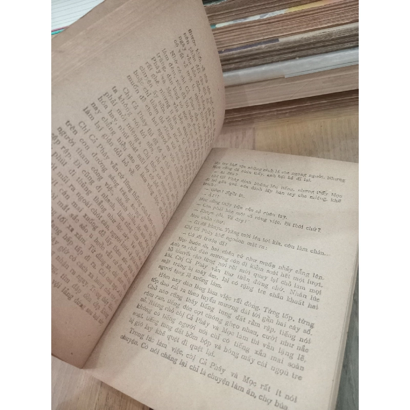 Chị cả phây - Ngô Ngọc Bội 975007