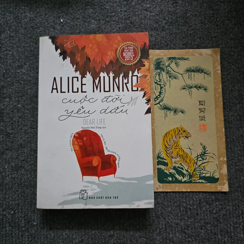 Cuộc đời yêu dấu - Alice Munro 733924