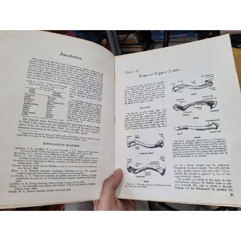 ANATOMY : A REGIONAL STUDY OF HUMAN STRUCTURE (3rd Edition) - E. Gardner, D.J. Gray, R.O'Rahilly 138143