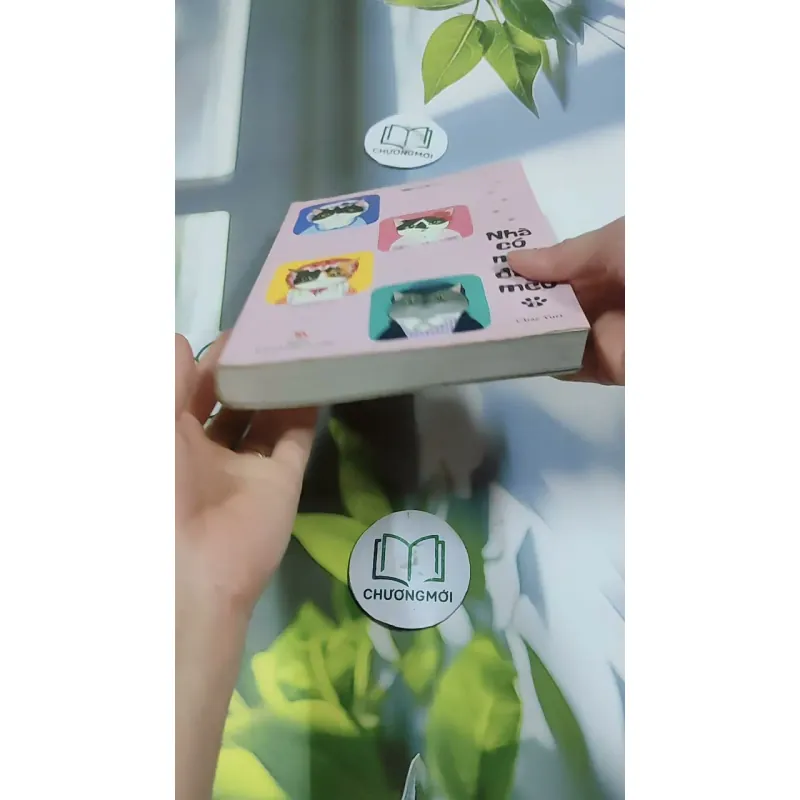 Nhà Có Một Đàn Mèo 2 - Chae Yuri 744718